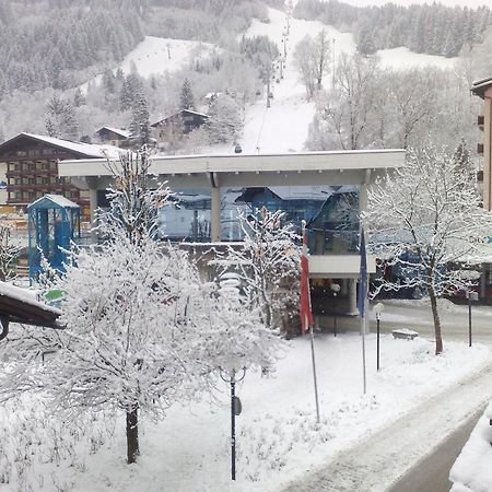 Haus Kleineisen By Chatel Reizen Zell am See Exteriér fotografie